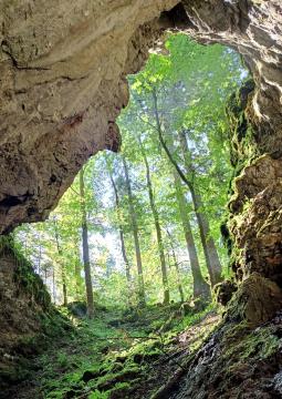 Velika knežja jama, Stjepan Iveković